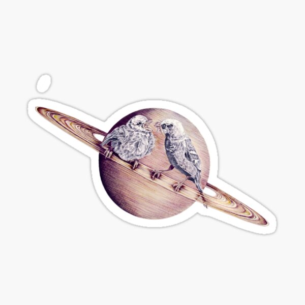 In which bird watching may require the aid of a telescope Sticker