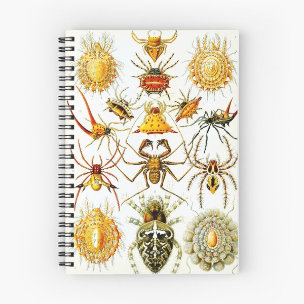 Item preview, Haeckel Arachnida Spiders designed and sold by Go Logo Designs.