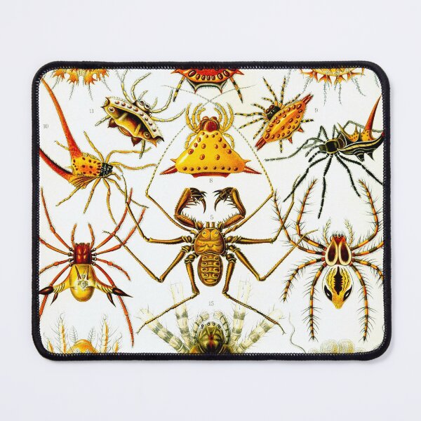 Item preview, Haeckel Arachnida Spiders designed and sold by Go Logo Designs.
