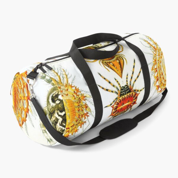 Item preview, Haeckel Arachnida Spiders designed and sold by Go Logo Designs.