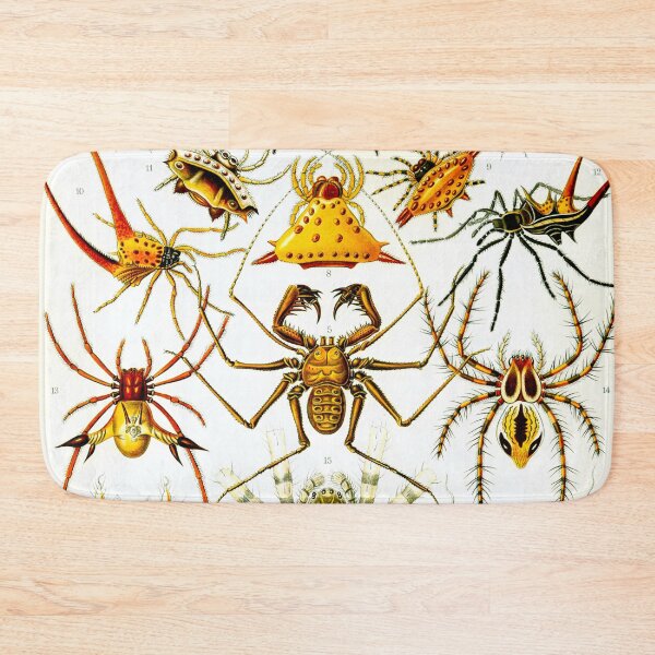 Item preview, Haeckel Arachnida Spiders designed and sold by Go Logo Designs.