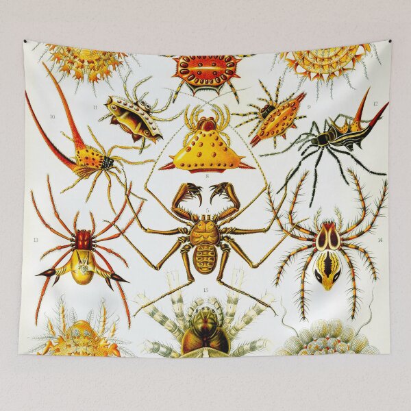 Item preview, Haeckel Arachnida Spiders designed and sold by Go Logo Designs.