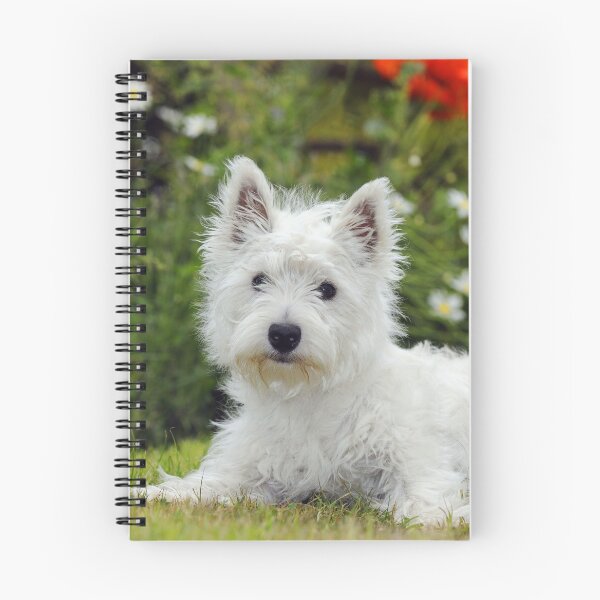 Item preview, White West Highland Terrier, Westie, Puppy designed and sold by ScienceSource.