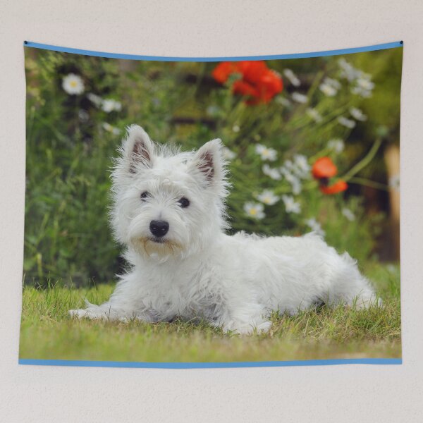 Item preview, White West Highland Terrier, Westie, Puppy designed and sold by ScienceSource.