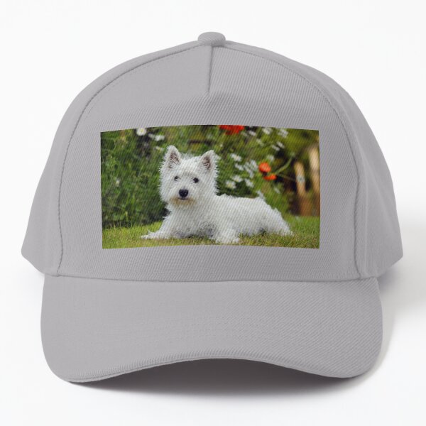 West Highland White Terrier Baseball Cap Westie Dog Fashionable Polyester Funny  Baseball Hat Bboy Kpop Blank Cap - AliExpress