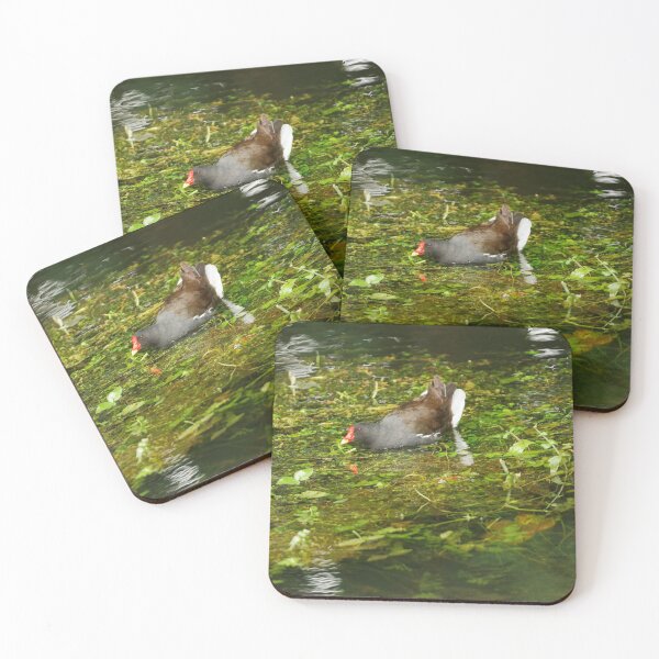 Item preview, SWIM TO FEED designed and sold by andrewsaxton.