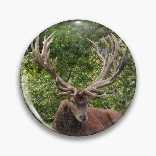 Item preview, A Magnificent Red Stag designed and sold by Karen Thomson.