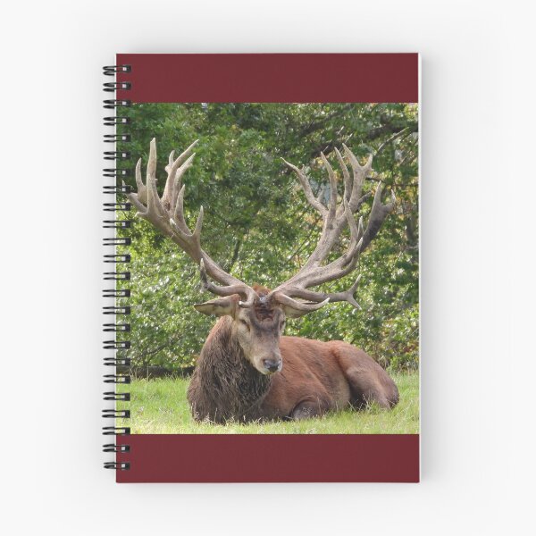 Item preview, A Magnificent Red Stag designed and sold by Karen Thomson.