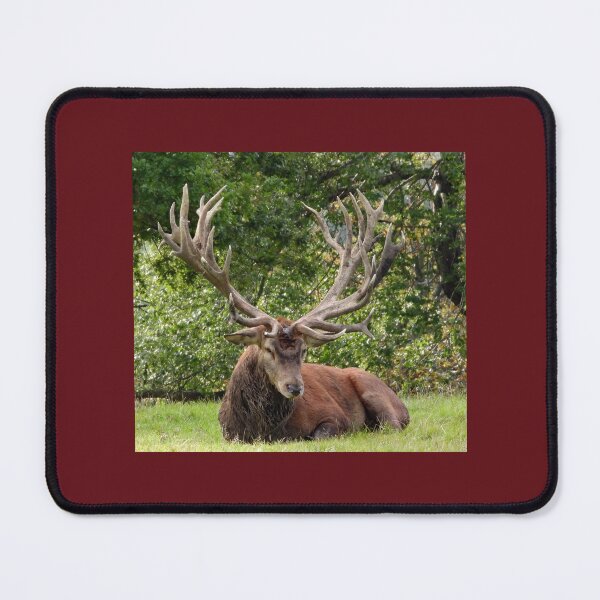 Item preview, A Magnificent Red Stag designed and sold by Karen Thomson.