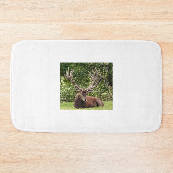 Item preview, A Magnificent Red Stag designed and sold by Karen Thomson.