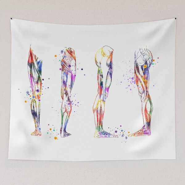 Item preview, Leg Muscles Anatomy Colorful Watercolor Gift designed and sold by LotusGifts.
