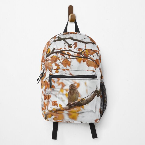 Item preview, Yellow on yellow. Yellowhammer on a yellow birch designed and sold by Jouko Lehto Photography.