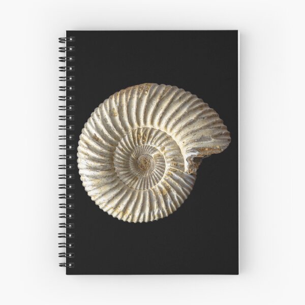 Item preview, Ammonite shell fossil designed and sold by MarisG.