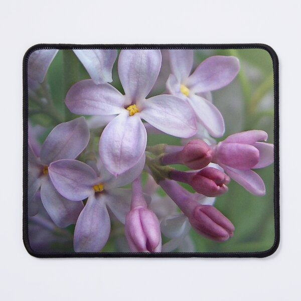 Item preview, Waiting For Lilacs designed and sold by Kathilee.