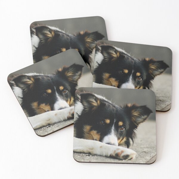Item preview, Susan the Border Collie designed and sold by thegreendogs.