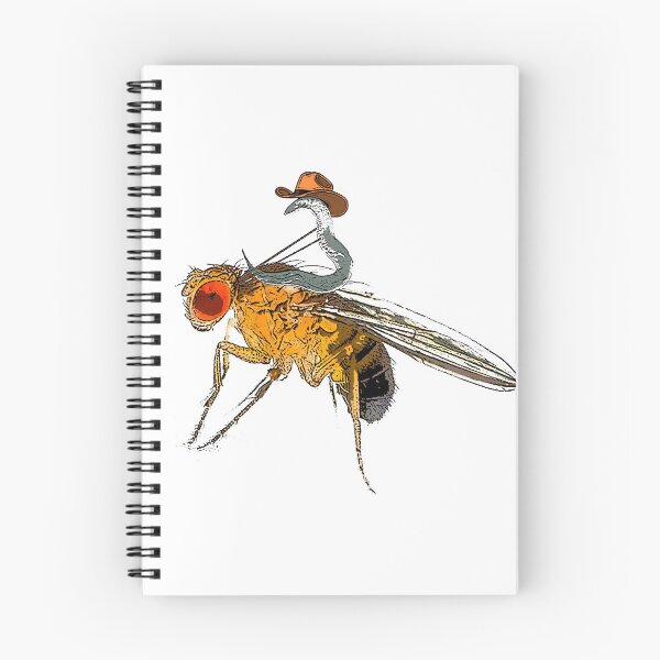 Item preview, C. Elegans Riding Drosophila Fly Model Organism Rodeo designed and sold by Foxicopter.