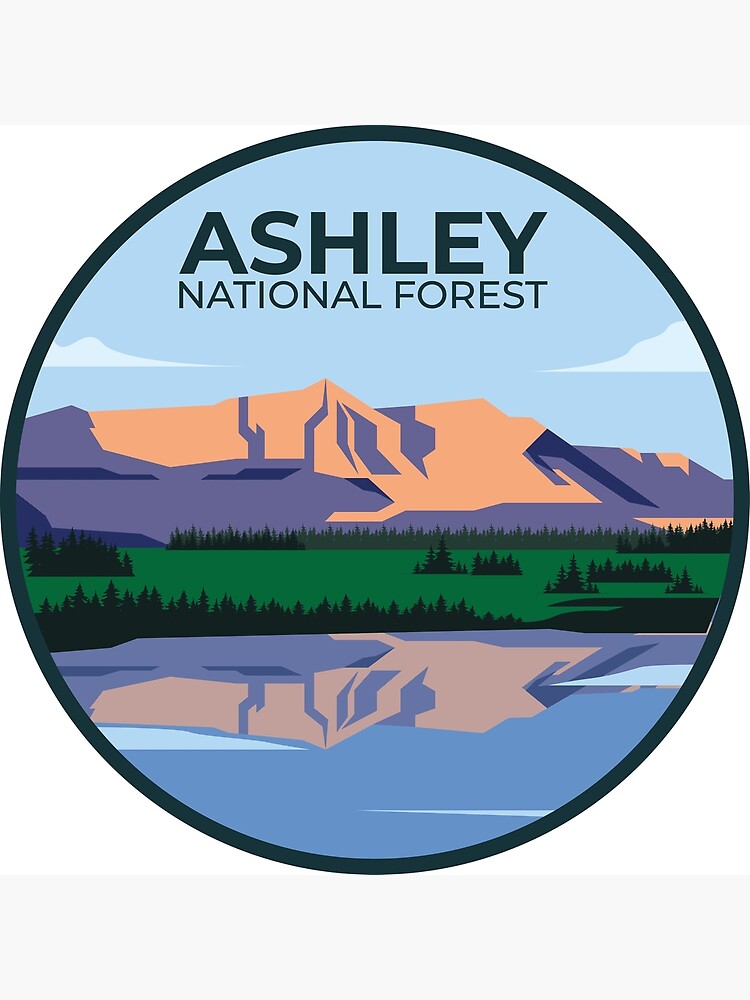 "Ashley National Forest" Poster for Sale by parkland Redbubble
