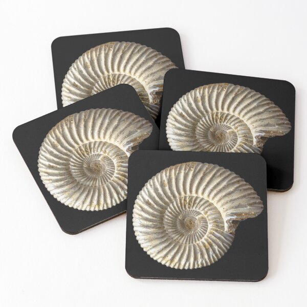 Item preview, Ammonite shell fossil designed and sold by MarisG.
