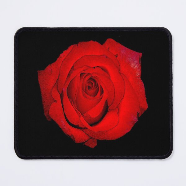 Item preview, Red rose designed and sold by MG-Photo.