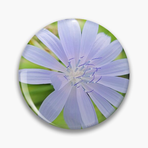 Item preview, chicory flower designed and sold by Bethan Rose Studio.