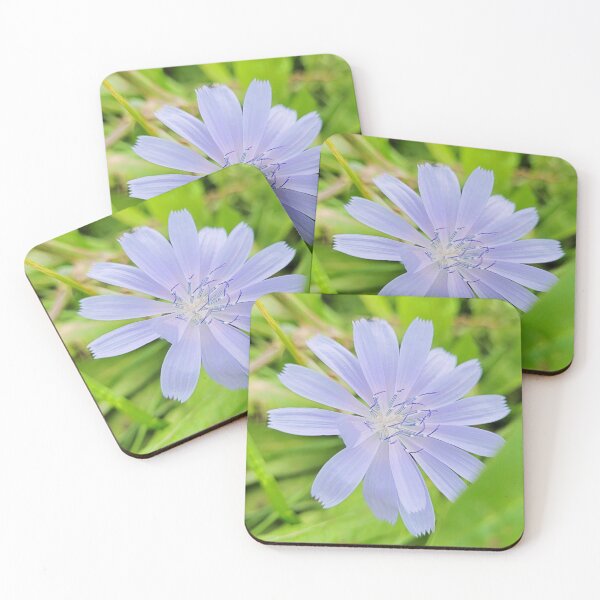 Item preview, chicory flower designed and sold by Bethan Rose Studio.