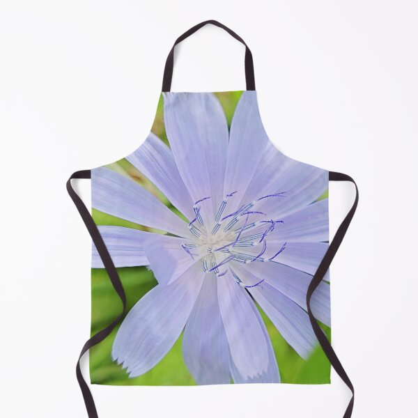 Item preview, chicory flower designed and sold by Bethan Rose Studio.