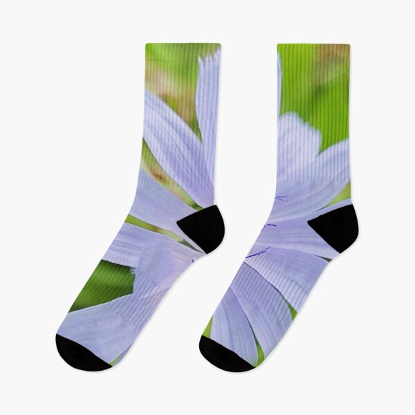 Item preview, chicory flower designed and sold by Bethan Rose Studio.