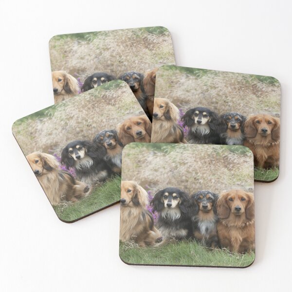 Item preview, Miniature long-haired dachshunds, Dogs designed and sold by ScienceSource.