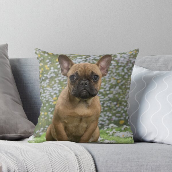 Item preview, Cachorro Bulldog Francés designed and sold by ScienceSource.