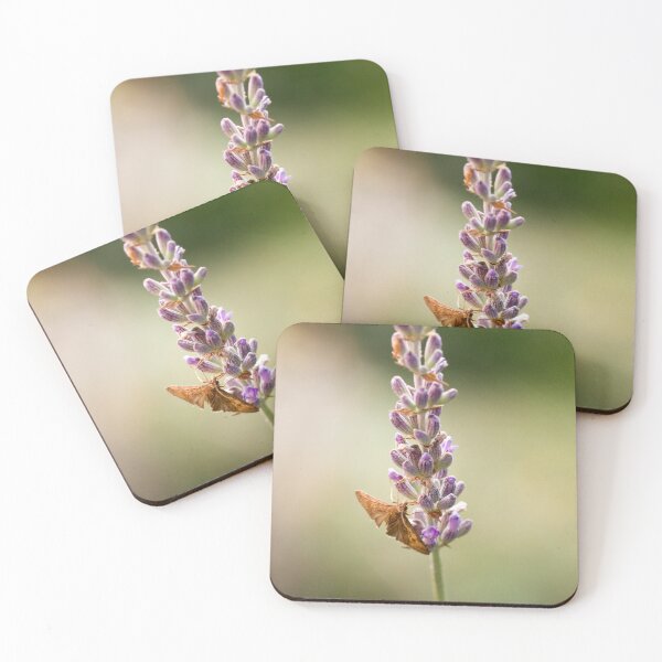 Item preview, Butterfly gathering lavender flowers with a small beetle designed and sold by BVNaturePhotos.