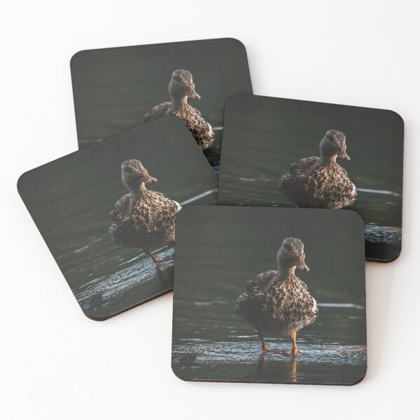 Item preview, Female Mallard designed and sold by emilyloyise.