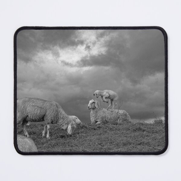 Item preview, Pure joie de vivre, sheep on the Sude designed and sold by Pioooh.