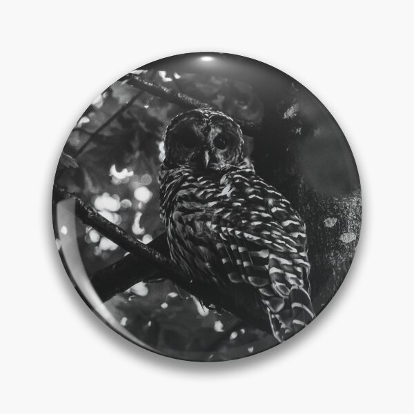 Item preview, Friendly Barred Owl designed and sold by emilyloyise.
