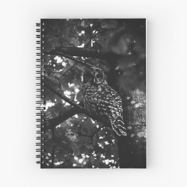 Item preview, Friendly Barred Owl designed and sold by emilyloyise.