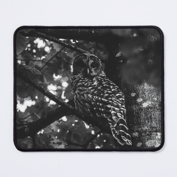 Item preview, Friendly Barred Owl designed and sold by emilyloyise.