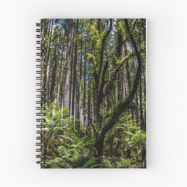 Item preview, Redwood Forest, Great Otway National Park, Australia designed and sold by Funkylikeabee.