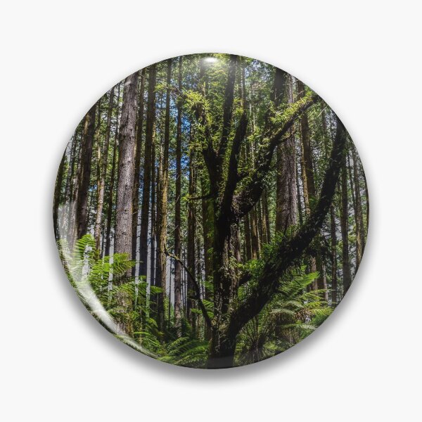 Item preview, Redwood Forest, Great Otway National Park, Australia designed and sold by Funkylikeabee.
