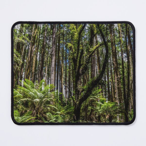 Item preview, Redwood Forest, Great Otway National Park, Australia designed and sold by Funkylikeabee.