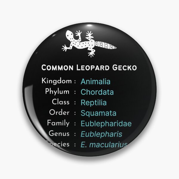 Item preview, Common leopard gecko owner b'day present | Reptile keeper gift designed and sold by OleeVO.