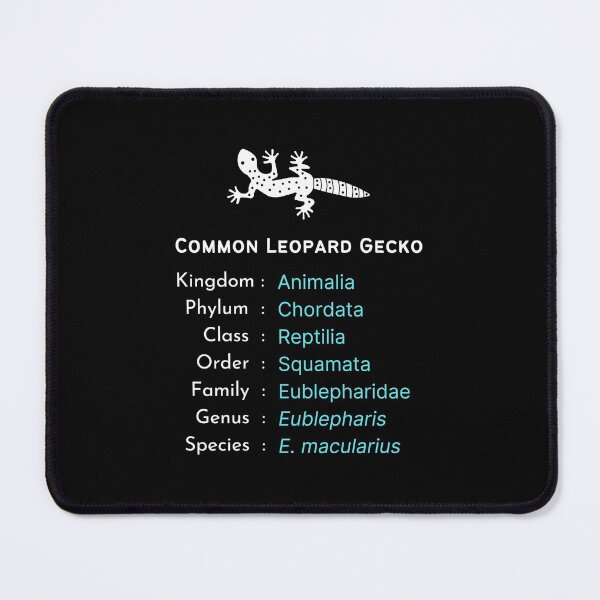 Item preview, Common leopard gecko owner b'day present | Reptile keeper gift designed and sold by OleeVO.