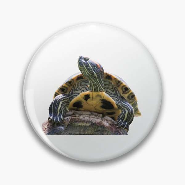 Item preview, 3rd Chilling Happy Rock Single Regular Turtles Turtles Stickers Bundle. Turtles Lover Essential Package. Cute, Adorable, and Funny Turtles. - Essential designed and sold by AnimalStickers-.