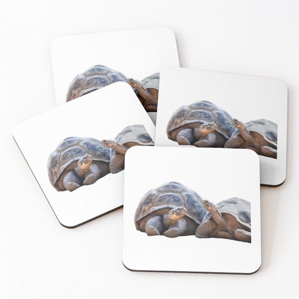 Item preview, 3rd Couple Happy Chillin Cute Giant Single Regular Turtles Turtles Stickers Bundle. Turtles Lover Essential Package. Cute, Adorable, and Funny Turtles. - Essential designed and sold by AnimalStickers-.