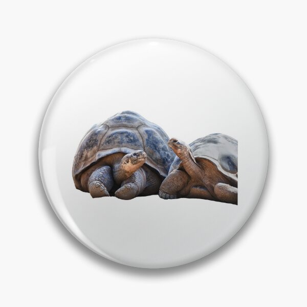 Item preview, 3rd Couple Happy Chillin Cute Giant Single Regular Turtles Turtles Stickers Bundle. Turtles Lover Essential Package. Cute, Adorable, and Funny Turtles. - Essential designed and sold by AnimalStickers-.