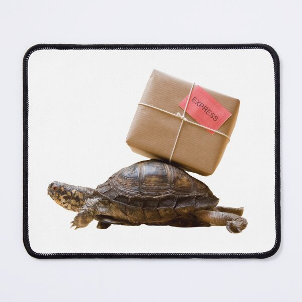 Item preview, 2nd Delivery Express Funny Focused Single Regular Turtles Turtles Stickers Bundle. Turtles Lover Essential Package. Cute, Adorable, and Funny Turtles. - Essential designed and sold by AnimalStickers-.