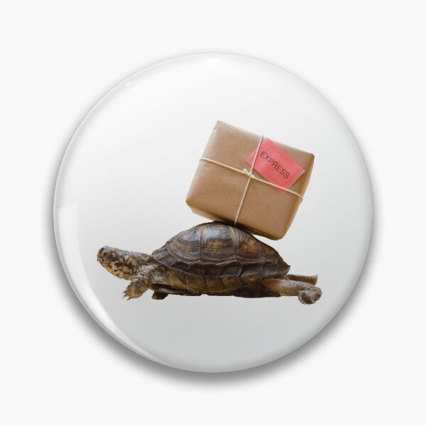 Item preview, 2nd Delivery Express Funny Focused Single Regular Turtles Turtles Stickers Bundle. Turtles Lover Essential Package. Cute, Adorable, and Funny Turtles. - Essential designed and sold by AnimalStickers-.