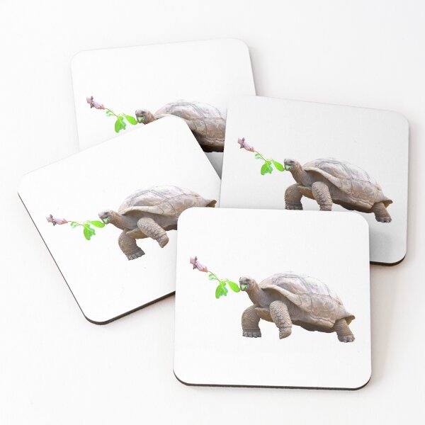 Item preview, 4th Eating Happy Content Walking Single Regular Turtles Turtles Stickers Bundle. Turtles Lover Essential Package. Cute, Adorable, and Funny Turtles. - Essential designed and sold by AnimalStickers-.
