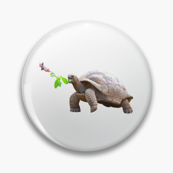 Item preview, 4th Eating Happy Content Walking Single Regular Turtles Turtles Stickers Bundle. Turtles Lover Essential Package. Cute, Adorable, and Funny Turtles. - Essential designed and sold by AnimalStickers-.