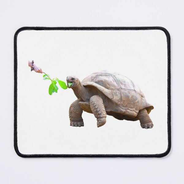 Item preview, 4th Eating Happy Content Walking Single Regular Turtles Turtles Stickers Bundle. Turtles Lover Essential Package. Cute, Adorable, and Funny Turtles. - Essential designed and sold by AnimalStickers-.