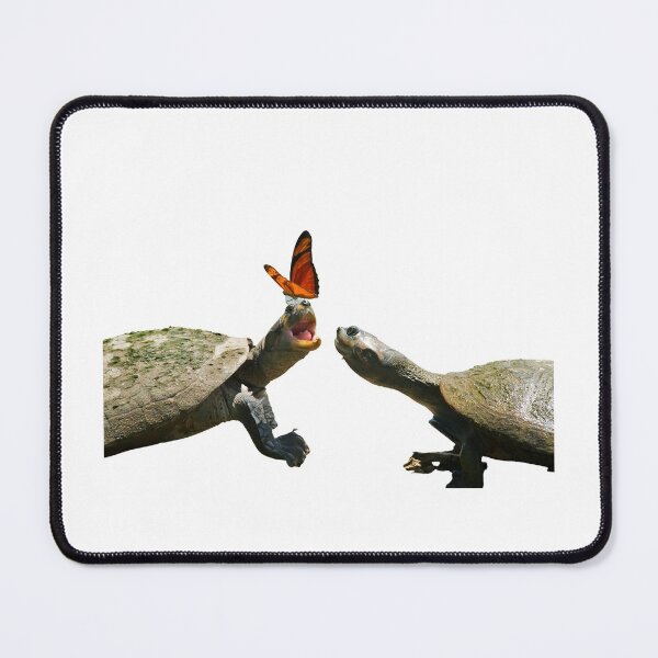 Item preview, 3rd Happy Butterfly Funny Cute Double Single Regular Turtles Turtles Stickers Bundle. Turtles Lover Essential Package. Cute, Adorable, and Funny Turtles. - Essential designed and sold by AnimalStickers-.