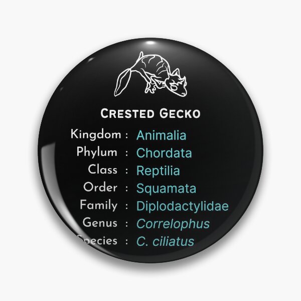 Item preview, Crested gecko lover b'day gift | Reptile keeper present designed and sold by OleeVO.